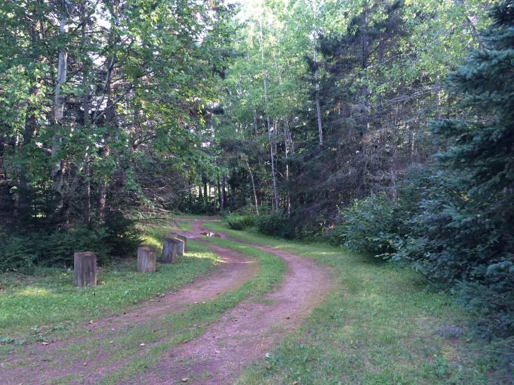 Monument Road looking back.